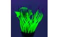 Искусственная декорация флуоресцентная GLOXY Рыба хирург в анемоне, зелёная