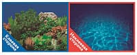 Фон-пленка Prime 100х50 см, Растительный пейзаж/Синее море