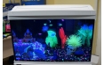 Декорация с GLO-эффектом Glofish 
