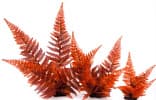 Искусственное растение Vitality Папоротник красный, 40 см