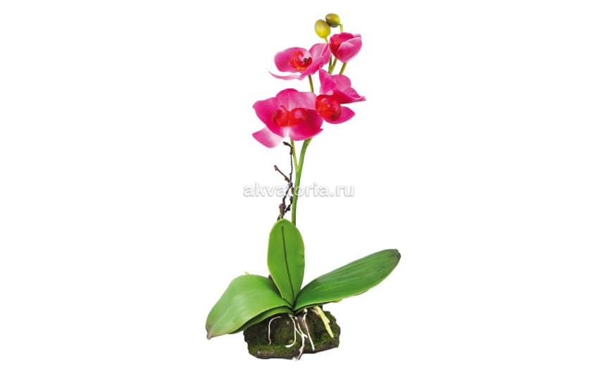 Искусственное растение Lucky Reptile "Орхидея розовая", 30 см
