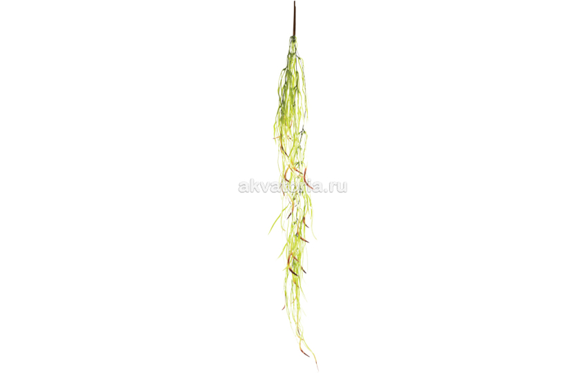 Искусственное растение Laguna Фикус иволистный, жёлто-зелёный, 6×1х52 см