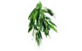 Искусственное подвесное растение на присоске Repti-Zoo "Рускус" 40 см