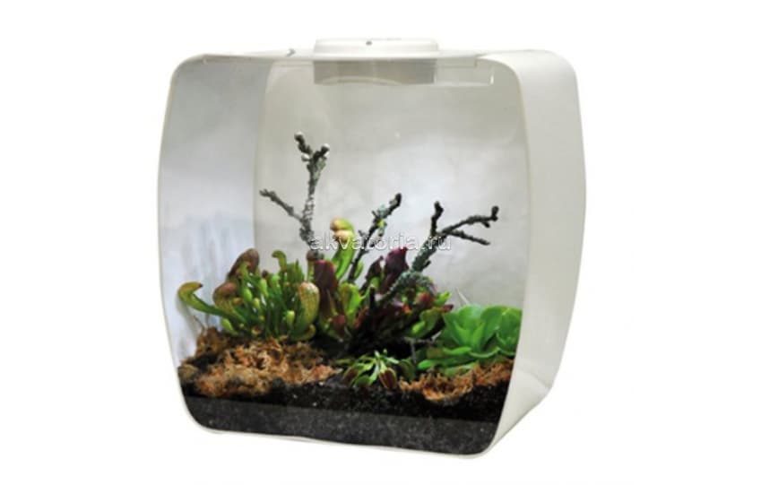 Инсектарий-аквариум Lucky Reptile Life Box,35×20×35 см, белый