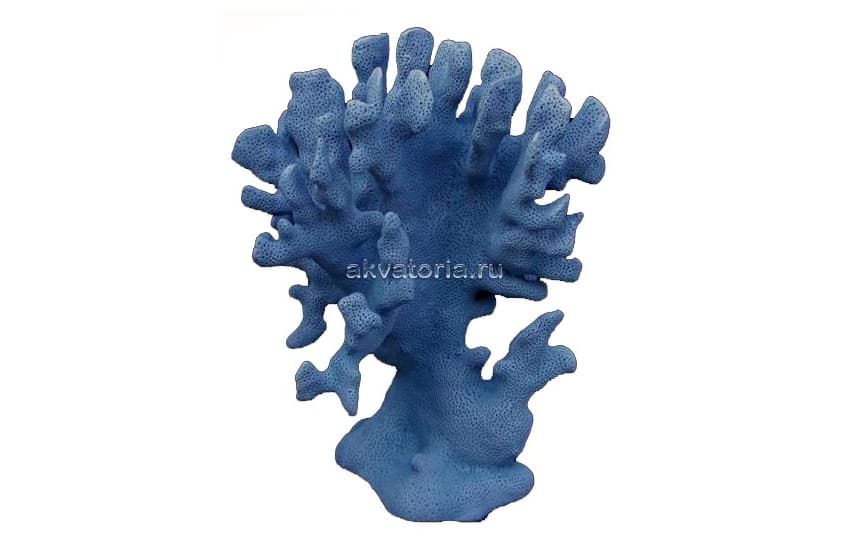 Коралл натуральный голубой, XL