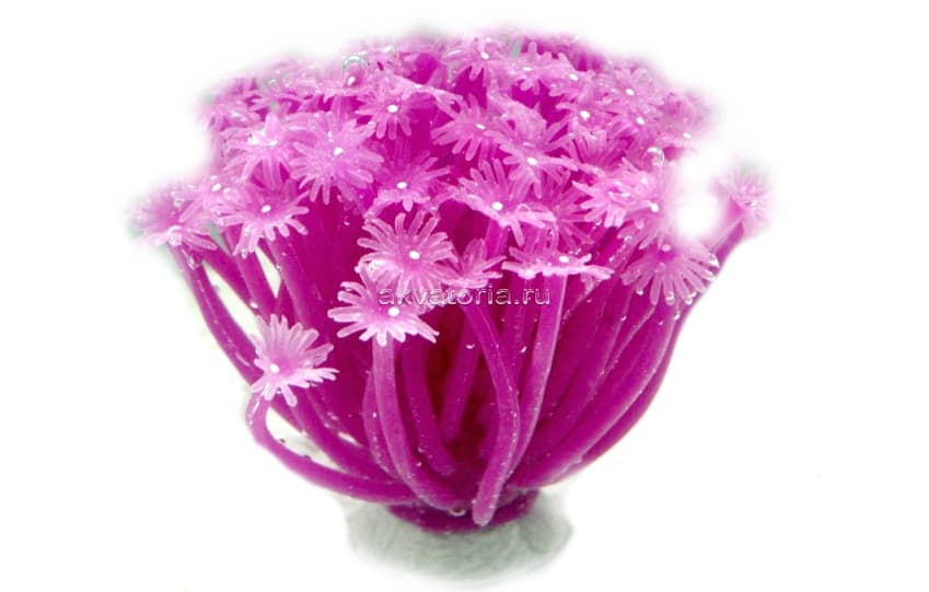 Искусственный коралл Vitality фиолетовый (RT187PU)