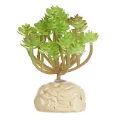 Искусственное растение Nomoy Pet Эониум, 11 см