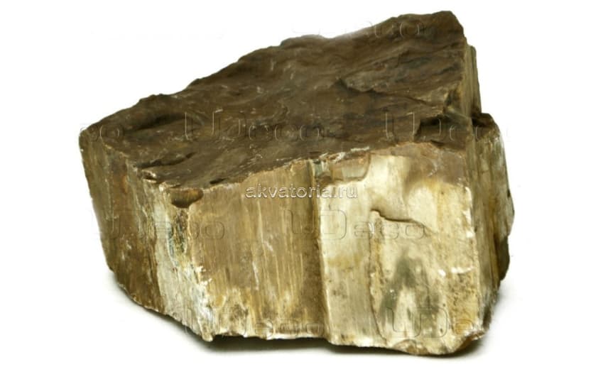 Камень UDeco Fossilized Wood Stone XS 