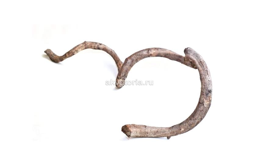 Натуральная лиана Astet 90-180 см