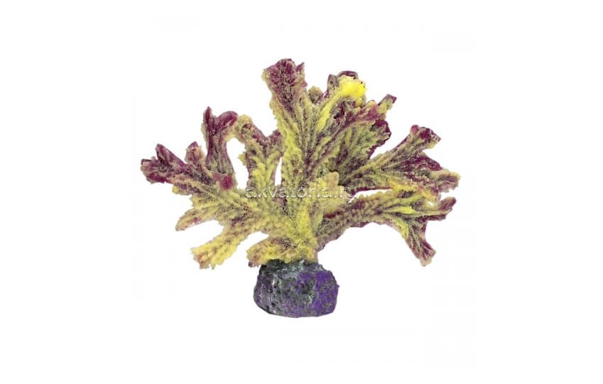 Искусственный коралл Vitality желто-фиолетовый, L (MA117MPUY)
