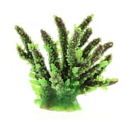 Искусственный коралл Vitality зелёный (SH059G)