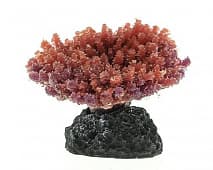 Искусственный коралл Vitality коричневый (MA114PU)
