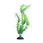Искусственное растение Naribo Альтернатера зелёная, 30 см