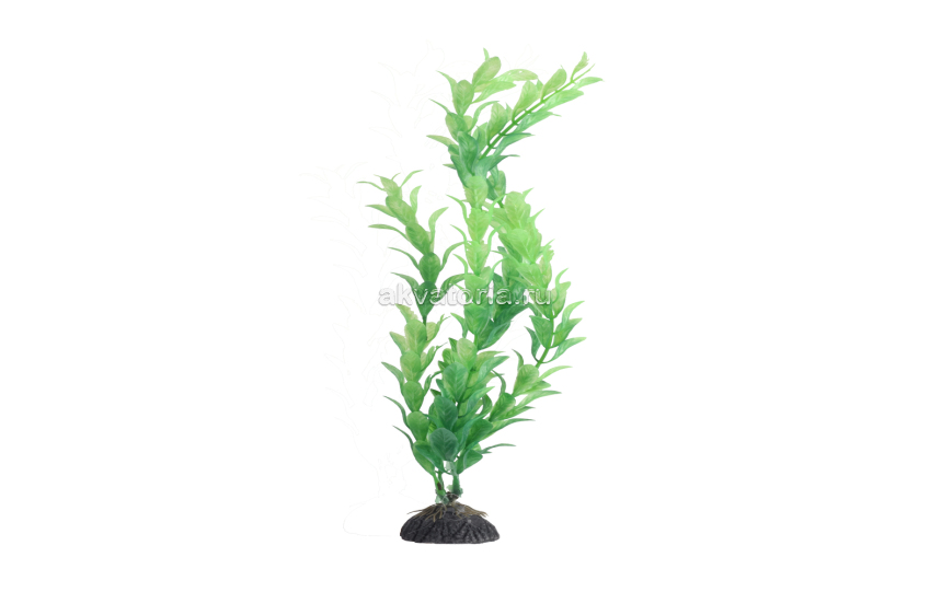 Искусственное растение Naribo Альтернатера зелёная, 30 см