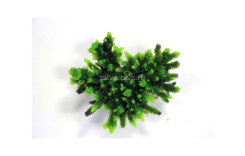 Искусственный коралл Vitality зелёный, M (МА116G)