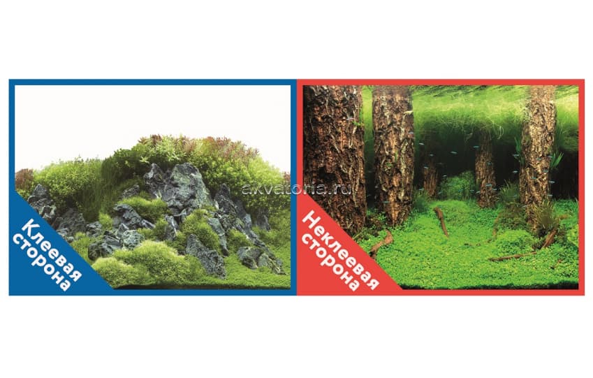 Фон-пленка Prime 100х50 см, Камни с растениями/Затопленный лес