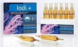 Средство для повышения уровня йода Prodibio Iodi+, 12 ампул