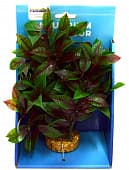 Искусственное растение с подложкой Marlin Aquarium "Альтернантера красная", 20 см