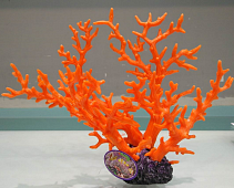 Искусственный коралл Vitality оранжевый (SH9106MOR)