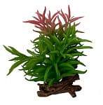 Искусственное растение TERRA DELLA Крассула, 13×10,5×16 см