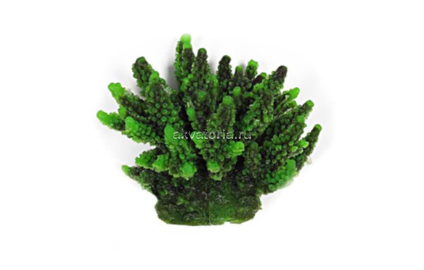 Искусственный коралл Vitality зелёный (SH095G)