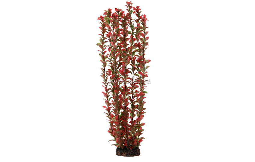 Искусственное растение Laguna Людвигия красная, 50 см