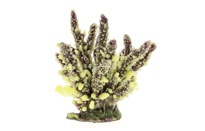 Искусственный коралл Vitality жёлто-коричневый (SH059PUY)