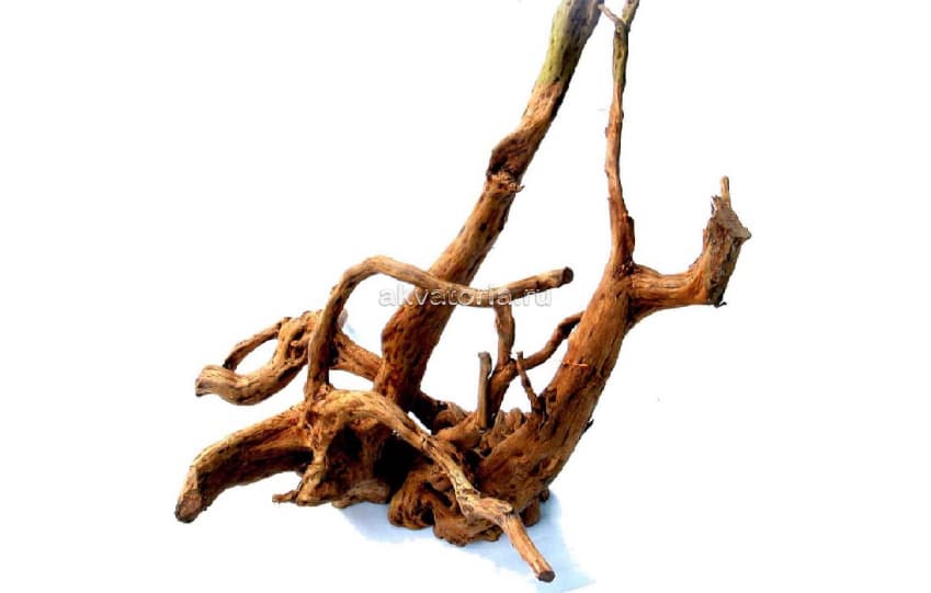 Коряга натуральная Сакура (Desert Driftwood), M