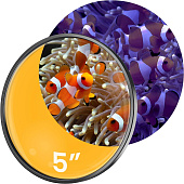 Светофильтр Flipper DeepSee 5" MAX Orange Lens для фото кораллов, оранжевый