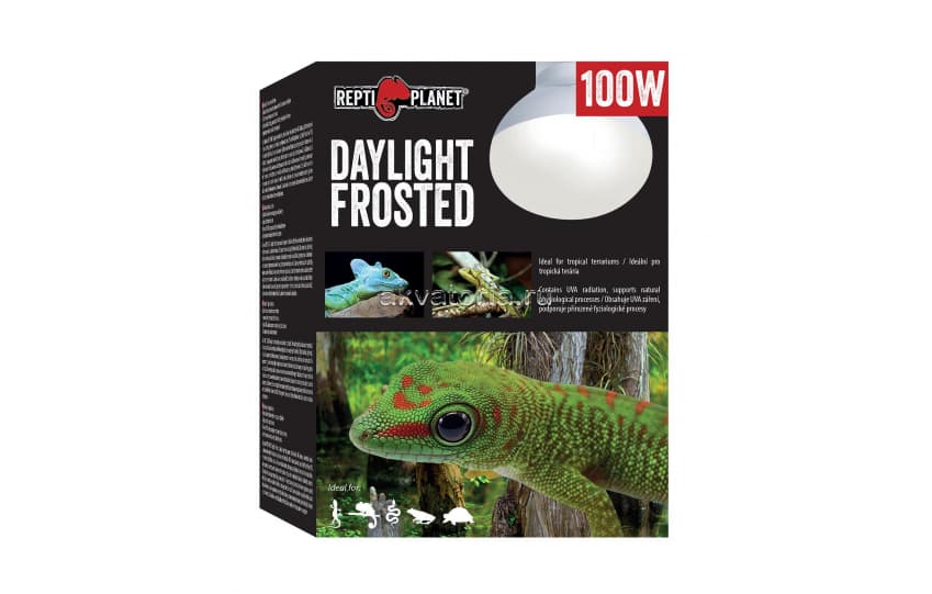 Террариумная греющая лампа Repti Planet Daylight Frosted, 100 Вт, матовая