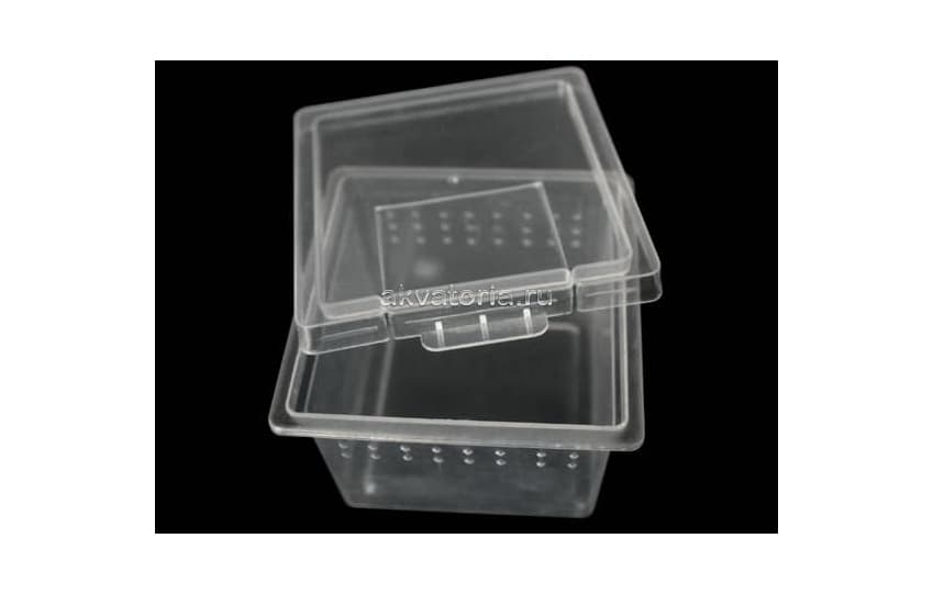 Отсадник Nomoy Pet Square Box H1, 7×7×4,5 см