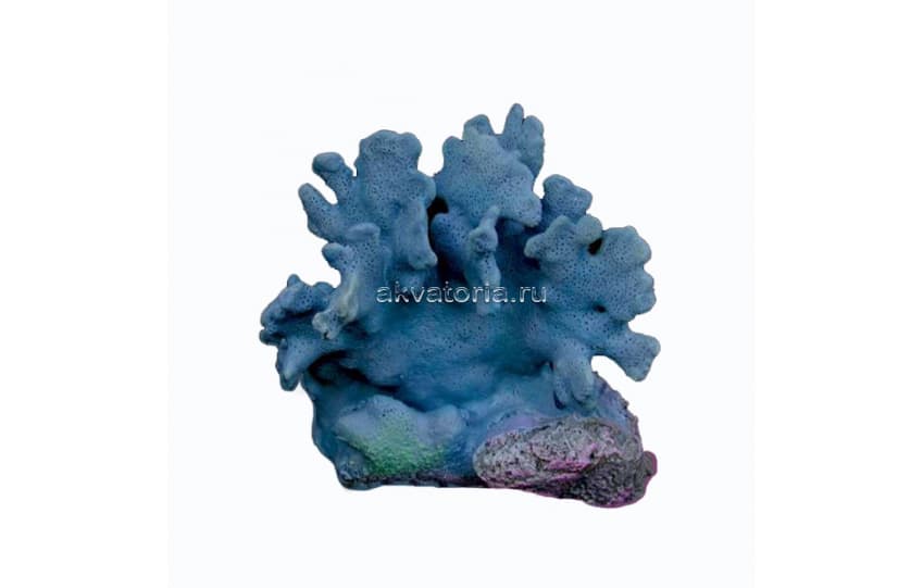 Коралл натуральный голубой, M
