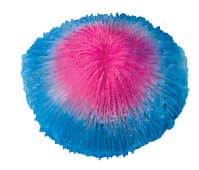 Искусственный коралл Laguna Фунгия розово-синяя