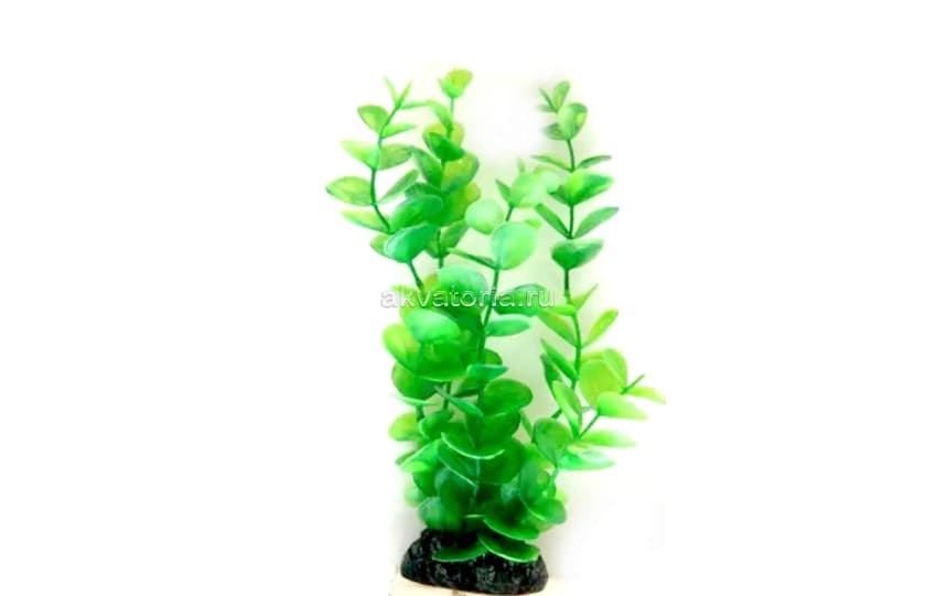 Искусственное растение Vitality Монетница зелёная, 30 см