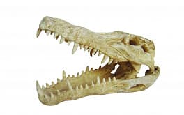 Декорация "Череп крокодила" Lucky Reptile Skull Krokodil, 25×11,2×15,2 см