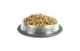 Корм для взрослых кошек Gina Elite Cat Sterilised Shrimps, креветки, сухой, 3 кг