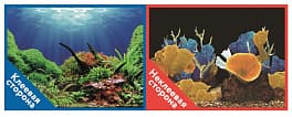 Фон-пленка Prime 100х50 см, Подводный мир/Морские кораллы