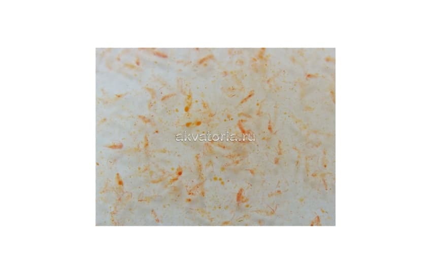 Корм для всех видов рыб и кораллов Fauna Marin Coral Plankton, 100 мл