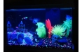 Декорация с GLO-эффектом GloFish "Морская звезда", 12,7×5,1×10,2 см