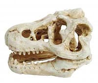 Аквариумная декорация PRIME «Череп динозавра» 8,5×6×6 см