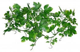Искусственное растение Lucky Reptile Gape Leaf Vine, 200 см