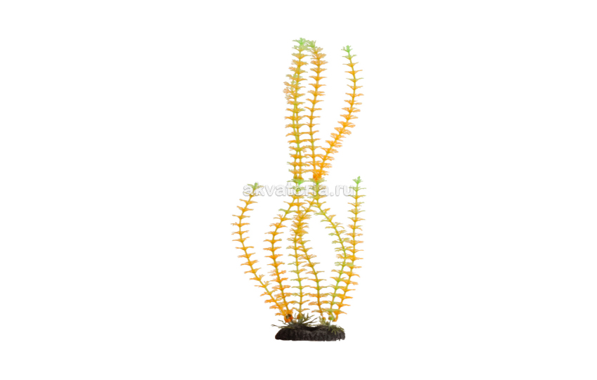 Искусственное растение Naribo Бакопа жёлтая, 34 см