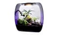 Инсектарий-аквариум Lucky Reptile Life Box,35×20×35 см, фиолетовый