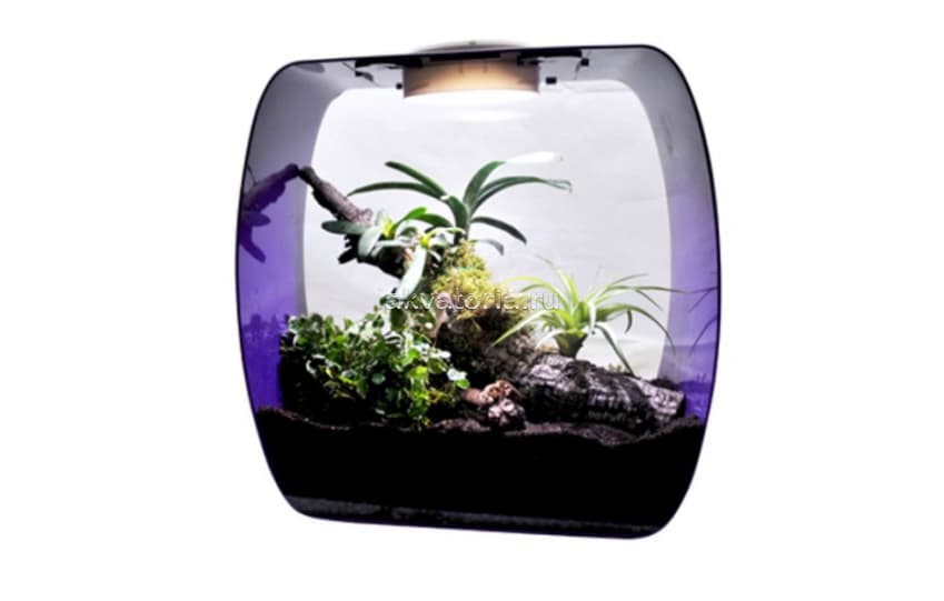 Инсектарий-аквариум Lucky Reptile Life Box,35×20×35 см, фиолетовый
