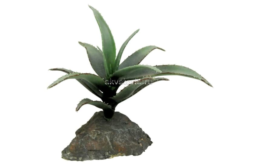 Искусственное растение Lucky Reptile Agava "Агава", 15 см