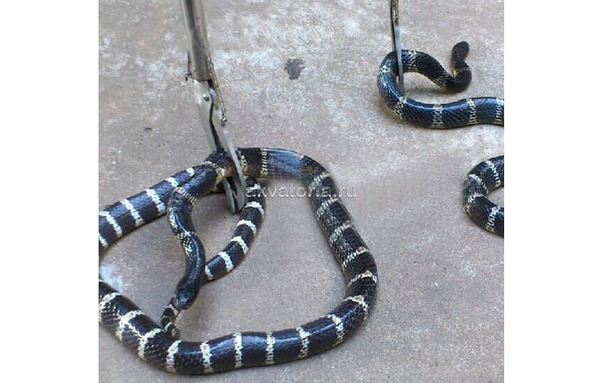 Щипцы для обращения со змеями Nomoy Pet Snake Catcher/Tong, 70 см