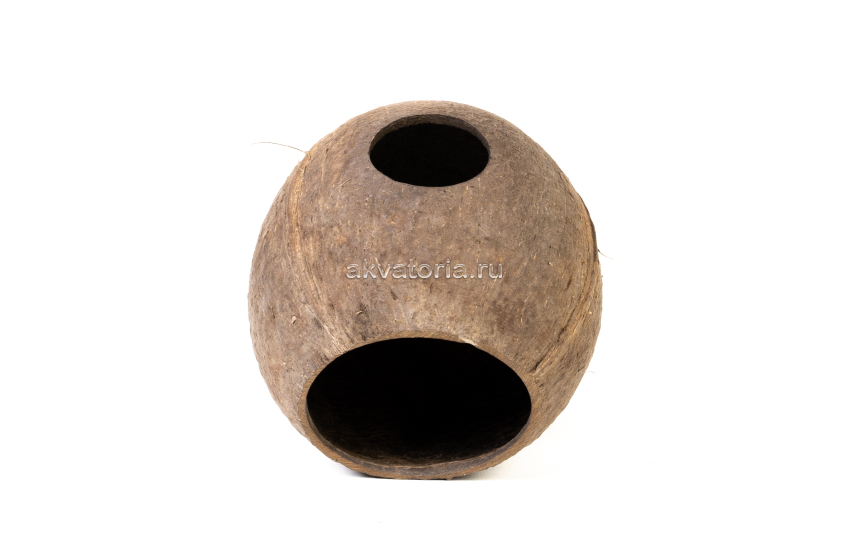 Укрытие Lucky Reptile СOCO CAVE, целый кокос, 10-14 см