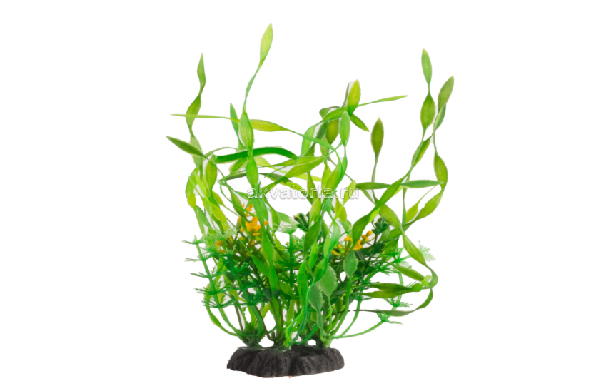 Искусственное растение Naribo Валлиснерия, 24 см