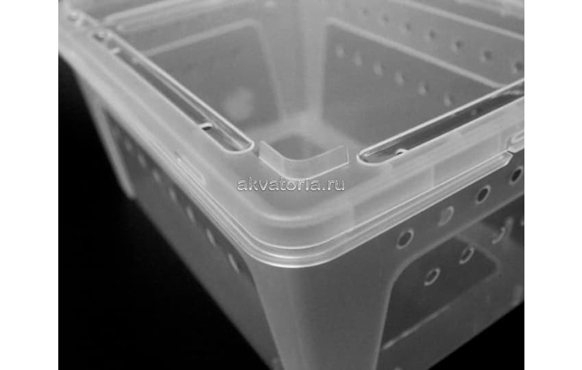 Отсадник Nomoy Pet Middle Feeding Box H4, 26×17,5×11,5 см