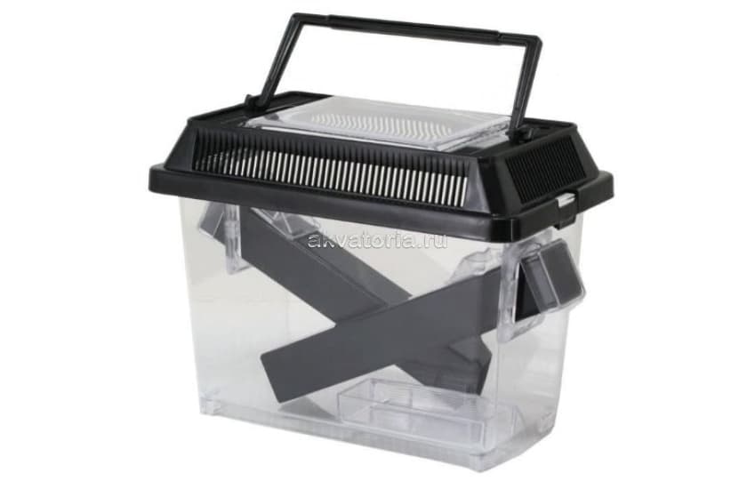 Контейнер для живого корма Hagen Exo-Terra Cricket Pen Small (PT2285), 18×14×11 см